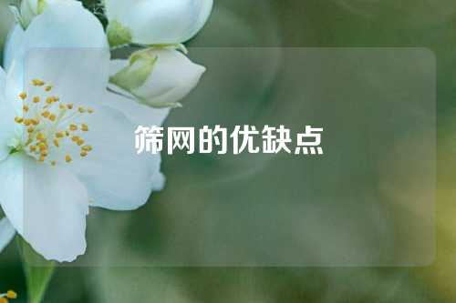 筛网的优缺点