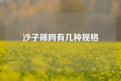 沙子筛网有几种规格