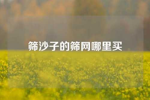 筛沙子的筛网哪里买