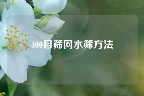 400目筛网水筛方法