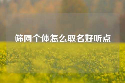 筛网个体怎么取名好听点