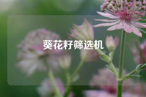 葵花籽筛选机