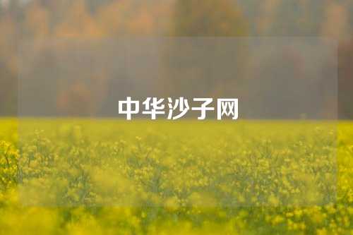 中华沙子网