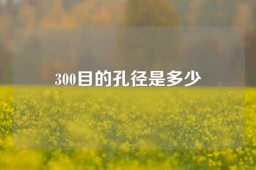 300目的孔径是多少