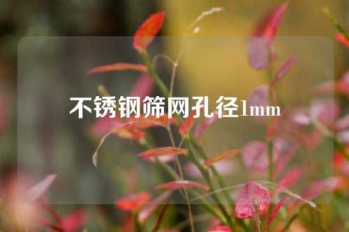 不锈钢筛网孔径1mm