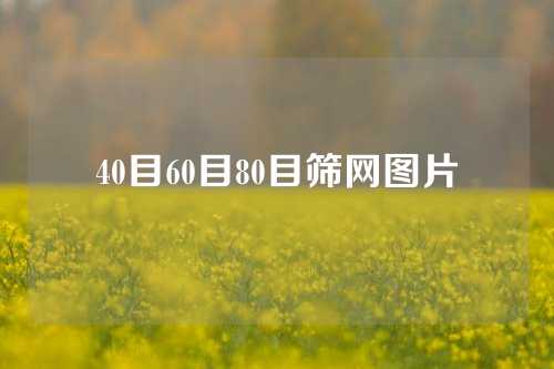 40目60目80目筛网图片