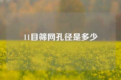 11目筛网孔径是多少