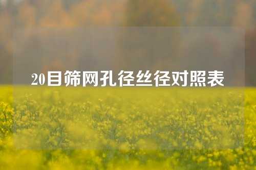 20目筛网孔径丝径对照表