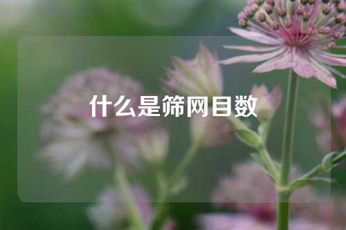 什么是筛网目数