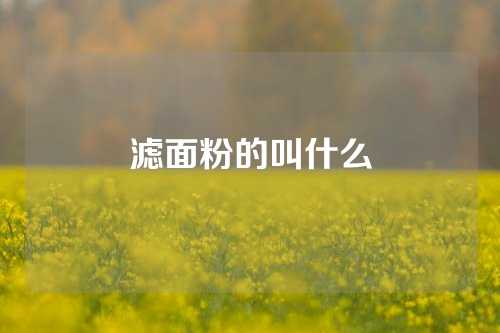 滤面粉的叫什么