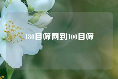 180目筛网到100目筛