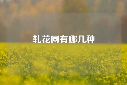 轧花网有哪几种