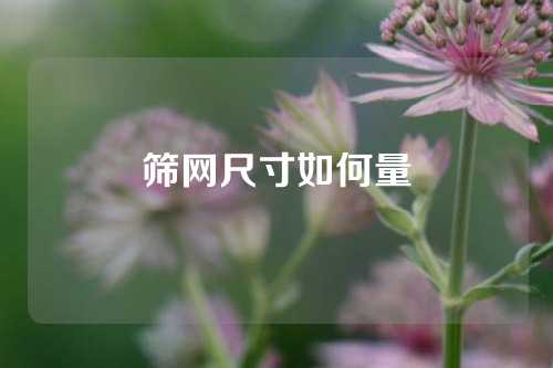 筛网尺寸如何量