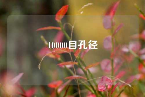 10000目孔径