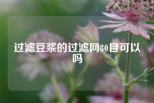 过滤豆浆的过滤网80目可以吗