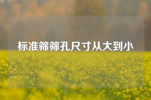 标准筛筛孔尺寸从大到小