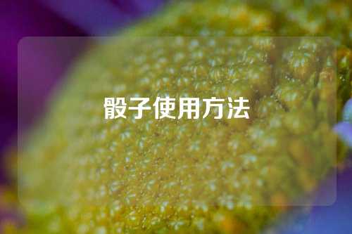 骰子使用方法