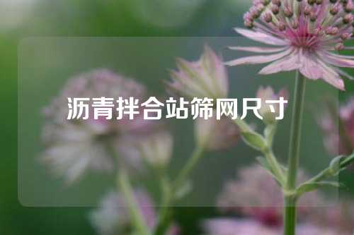 沥青拌合站筛网尺寸