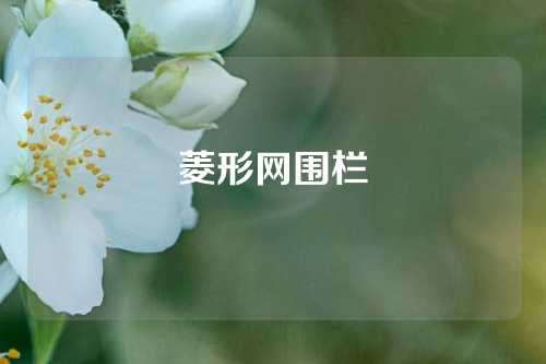 菱形网围栏