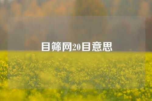 目筛网20目意思