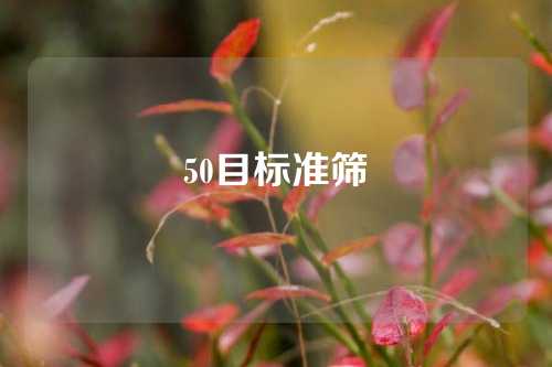 50目标准筛