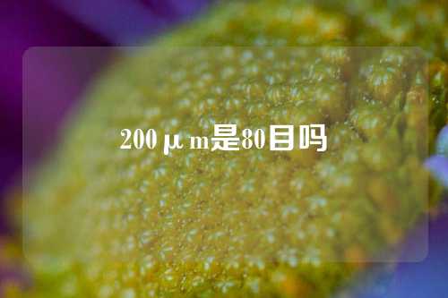 200μm是80目吗