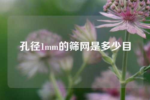 孔径1mm的筛网是多少目