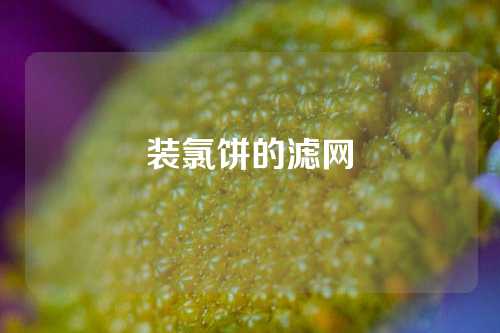 装氯饼的滤网