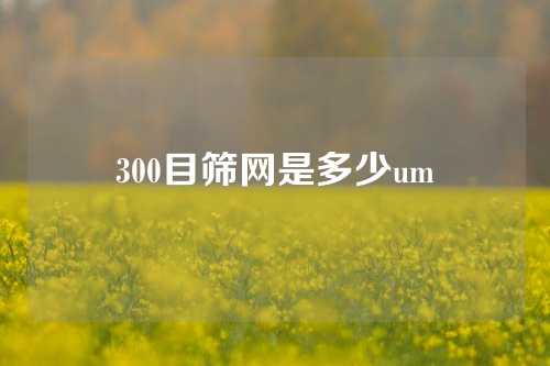 300目筛网是多少um