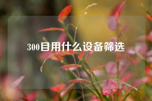 300目用什么设备筛选