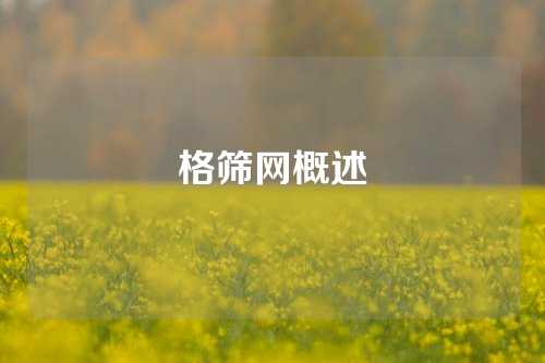 格筛网概述