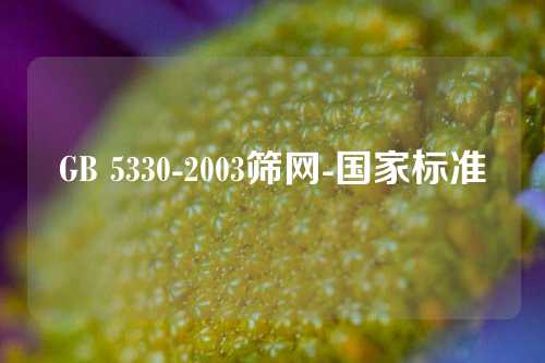 GB 5330-2003筛网-国家标准