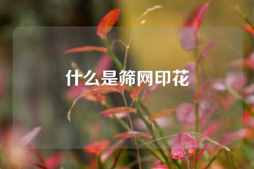 什么是筛网印花