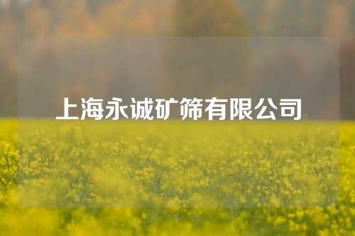 上海永诚矿筛有限公司