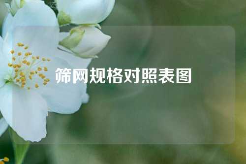 筛网规格对照表图