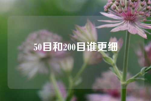 50目和200目谁更细