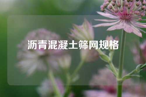 沥青混凝土筛网规格