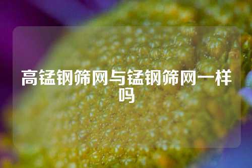 高锰钢筛网与锰钢筛网一样吗