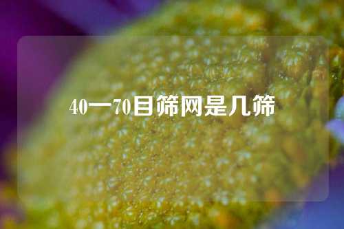 40一70目筛网是几筛