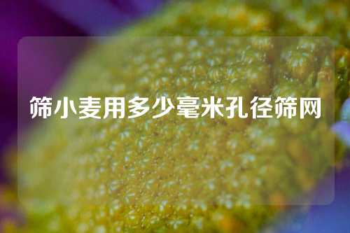 筛小麦用多少毫米孔径筛网