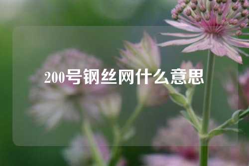 200号钢丝网什么意思