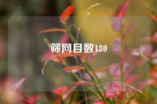 筛网目数180