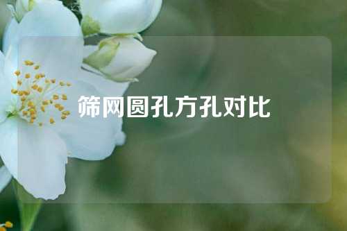 筛网圆孔方孔对比