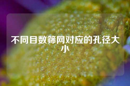 不同目数筛网对应的孔径大小