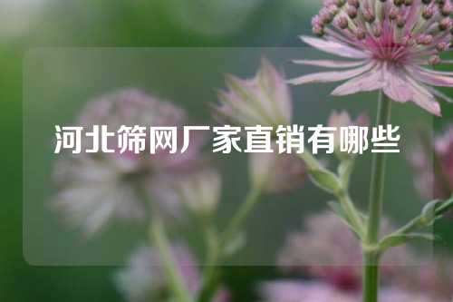 河北筛网厂家直销有哪些