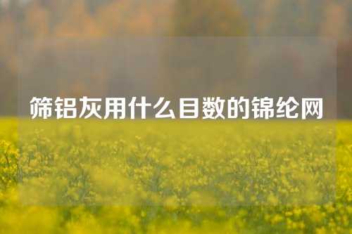 筛铝灰用什么目数的锦纶网