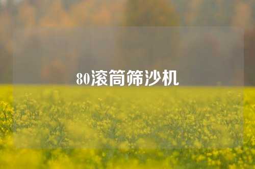 80滚筒筛沙机