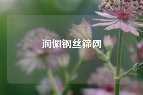 润佩钢丝筛网