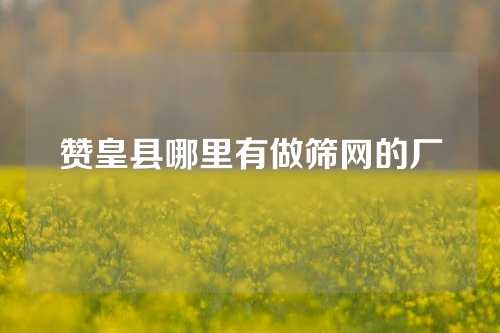 赞皇县哪里有做筛网的厂