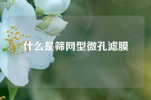 什么是筛网型微孔滤膜